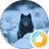 A black wolf stands prominently in the center of a flock of white sheep.